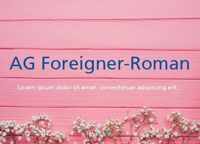 AG Foreigner-Roman example